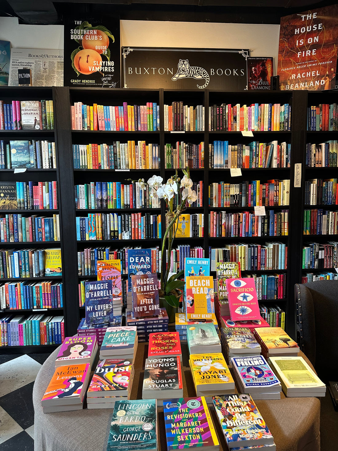 My Last 5 Reads: Mini Reviews and Ratings